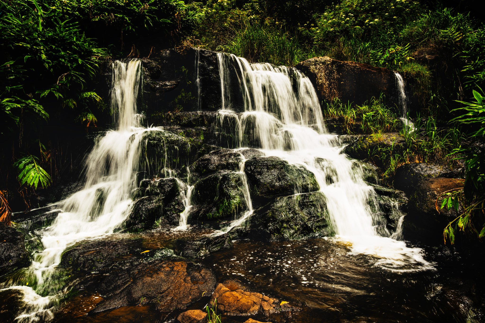 Several silky white streams of water spilling over dark mossy rocks into a pool, framed by dense green tropical leaves.